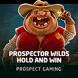 Prospector Wilds Hold and Win 